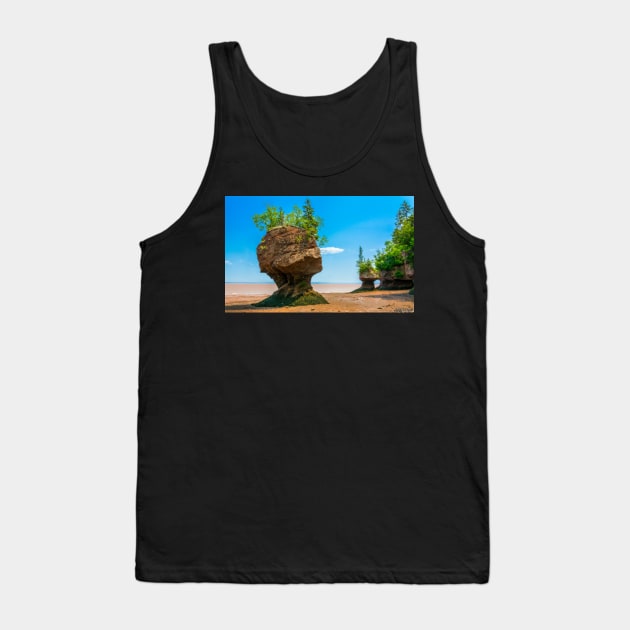 Hopewell Rocks, New Brunswick Canada Tank Top by kenmo